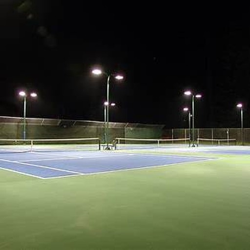 Tennis court