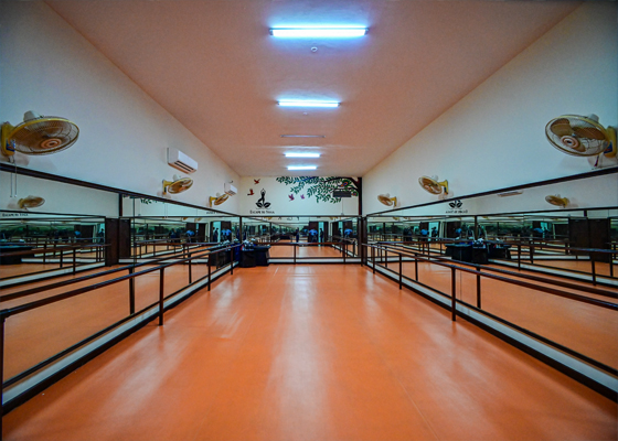 Gym and fitness